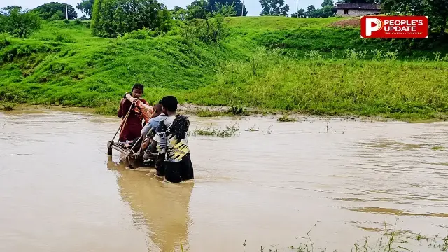 सिंगरौली में सड़क नहीं होने का दर्द-डिलीवरी के बाद खाट पर नाला पार कर घर पहुंच सकी महिला, वर्षों से की जा रही पुलिया निर्माण की मांग