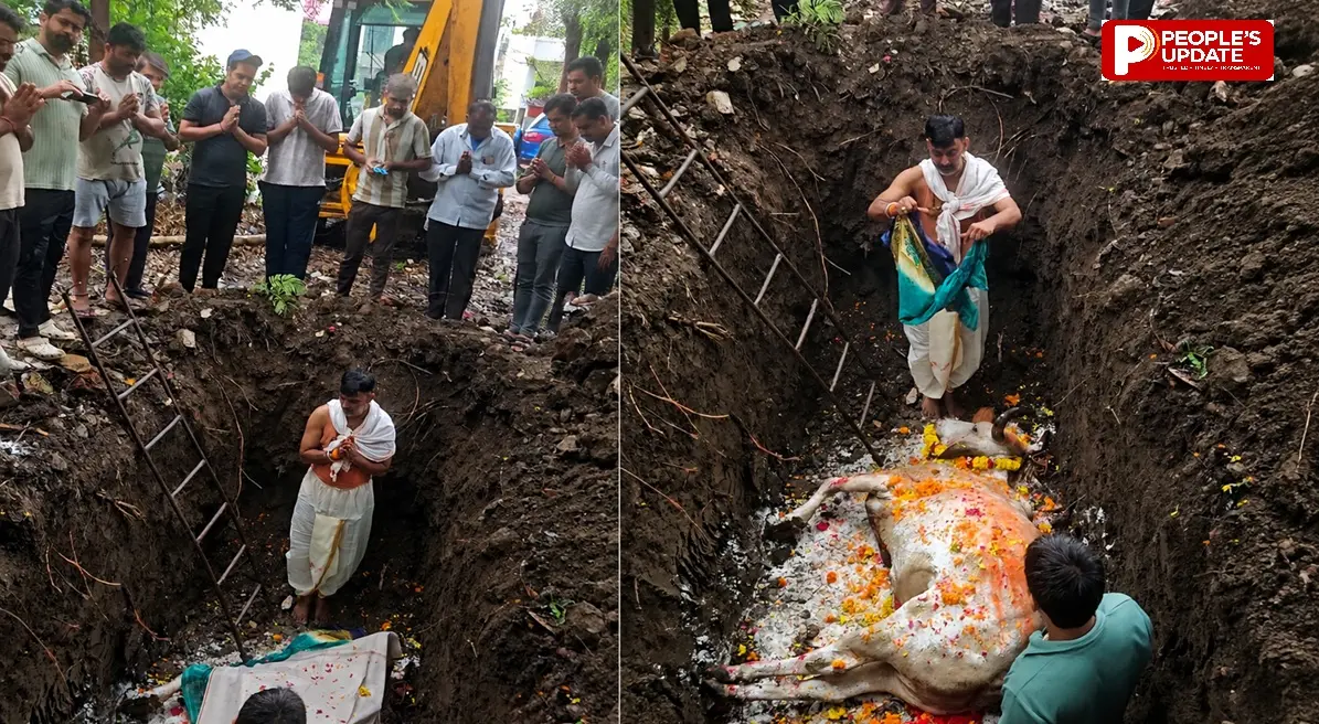 गौसेवक ने निभाया ‘पुत्र धर्म’; 10 वर्षों तक सेवा करने वाली गौ माता को दी सनातन पद्धति से विदाई, अंतिम संस्कार में छलक उठे आंसू