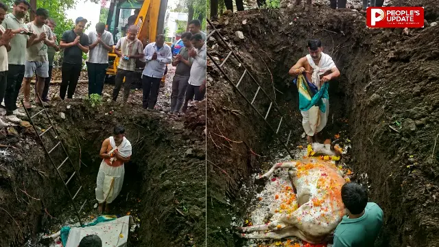 गौसेवक ने निभाया ‘पुत्र धर्म’; 10 वर्षों तक सेवा करने वाली गौ माता को दी सनातन पद्धति से विदाई, अंतिम संस्कार में छलक उठे आंसू