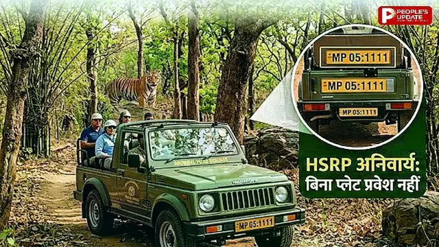 बिना 'हाई सिक्योरिटी नंबर प्लेट' नहीं मिलेगी टाइगर रिजर्व में एंट्री, सफारी वाहनों पर सख्त हुआ पार्क प्रबंधन