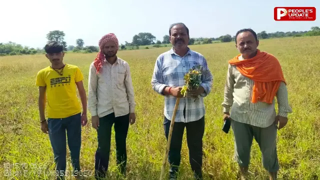 कृषि विभाग के सर्वे में 60% फसलें तबाह-राजस्व विभाग की सुस्ती से अटका किसानों का मुआवजा