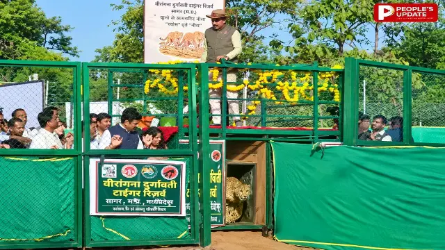 सीएम ने वीरांगना दुर्गावती टाइगर रिजर्व में छोड़े ‘नीरा’ और ‘व्योम’ चीते, कहा-इनका मानव से संघर्ष नहीं होता