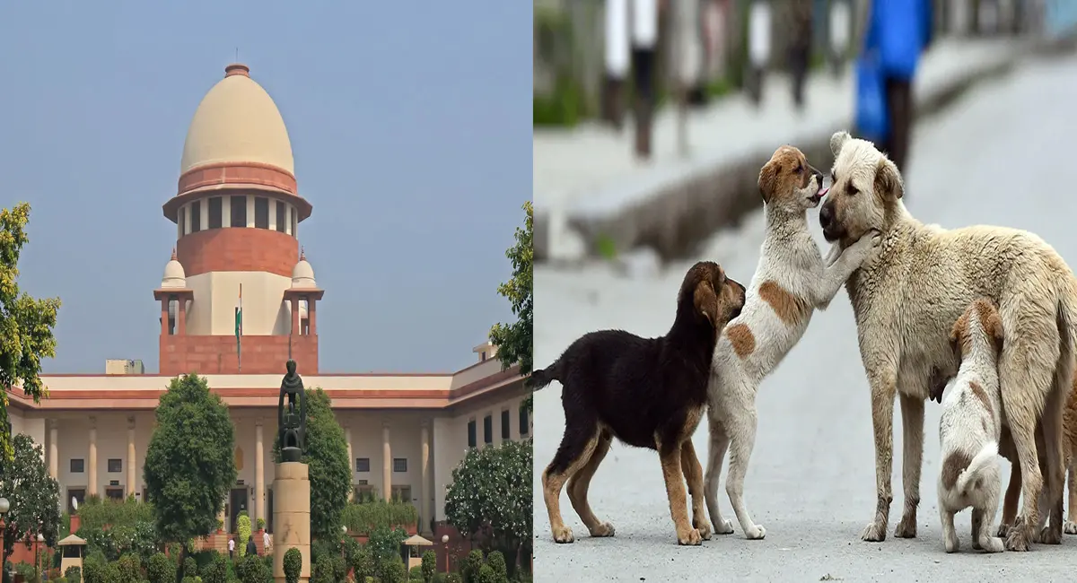 आदेशों का पालन न करने पर सुप्रीम कोर्ट नाराज, राज्यों को लगाई फटकार