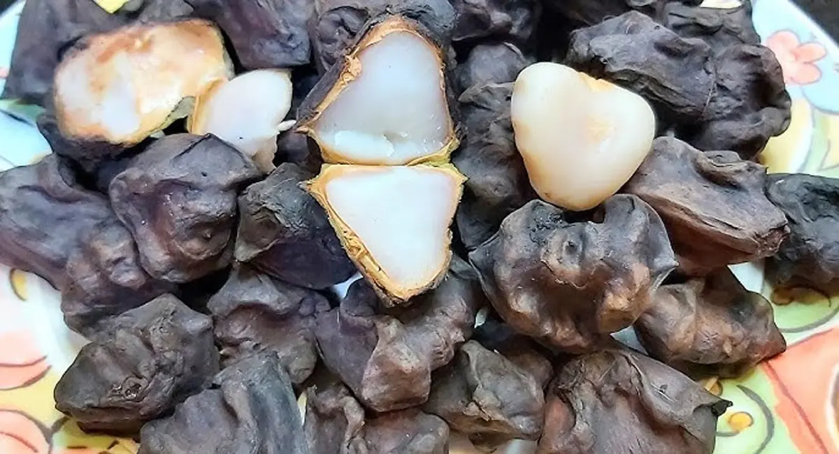 सर्दियों में इस काले दिखने वाले फल को करें अपनी डाइट में शामिल, होंगे ये फायदे 