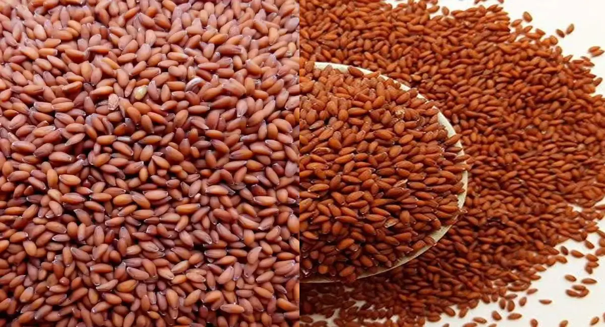 हेमोग्लोबिन बढ़ाना हो या बाल बचाने हों, एक छोटे से बीज से मिलेगा समाधान