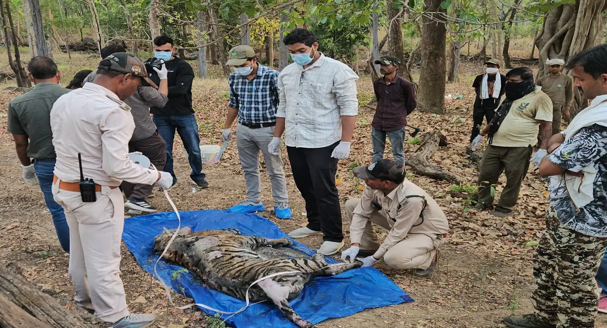 /img/94/1777528962206