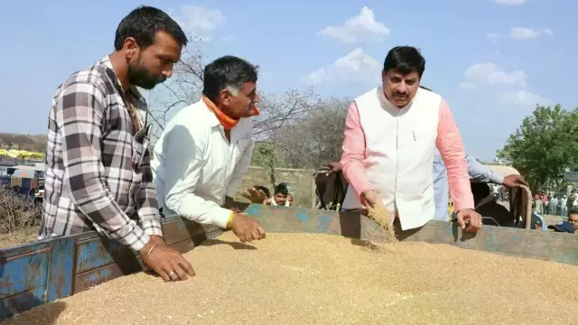गेहूं उपार्जन केंद्रों पर अचानक पहुंचे मुख्यमंत्री मोहन यादव, सख्त निगरानी और वेयरहाउस क्षमता बढ़ाने के दिए निर्देश