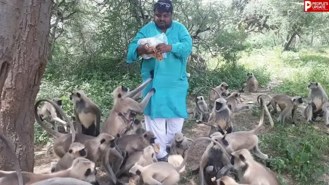 17 साल से बंदरों की भूख मिटा रहे स्वप्निल, सोशल मीडिया पर ‘मंकी मैन’ की सेवा ने जीता लोगों का दिल