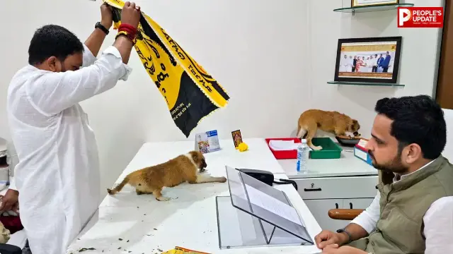 अधिकारी की टेबल पर बोरी से निकाला कुत्ता..! फिर पहनाई नोटों की माला, निफाड में हुआ अनोखा प्रदर्शन का वीडियो हुआ वायरल