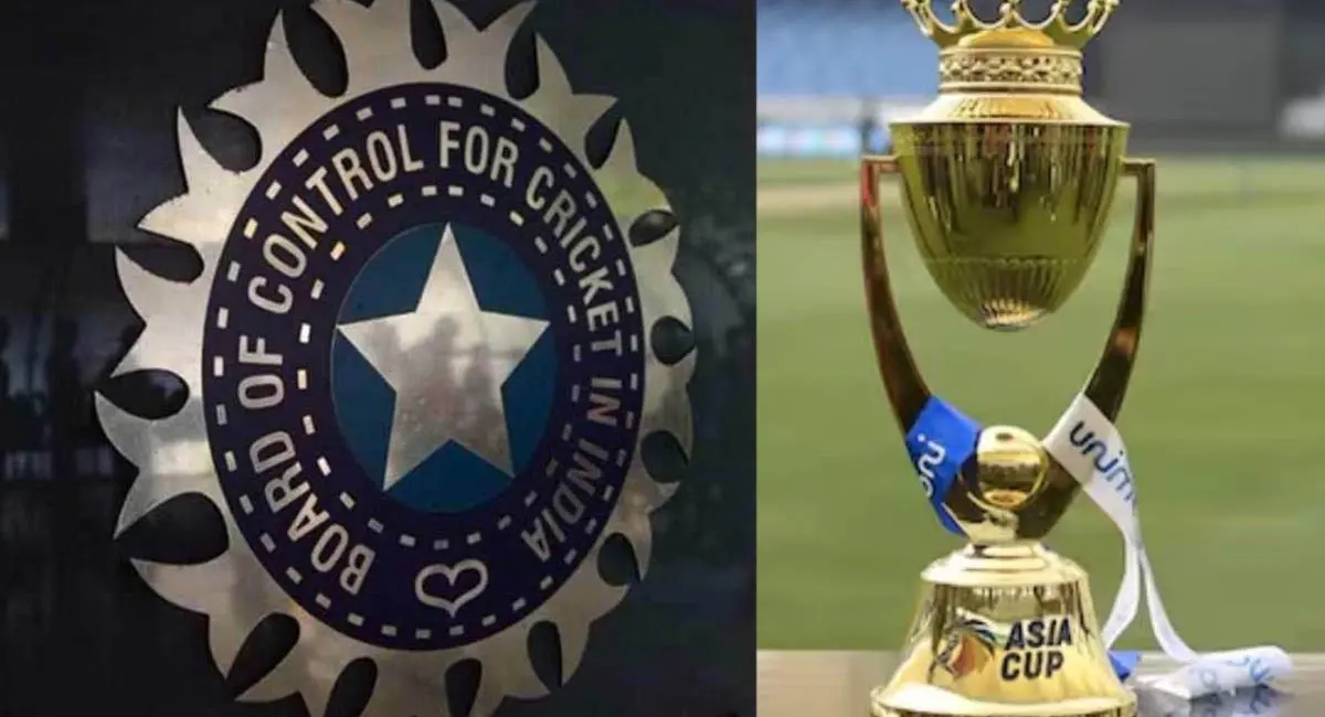 एशिया कप ट्रॉफी के बिना भी मालामाल हुई BCCI, कुछ नहीं कर पाएं मोहसिन नकवी, बोर्ड ने एशिया कप से की 100 करोड़ की कमाई