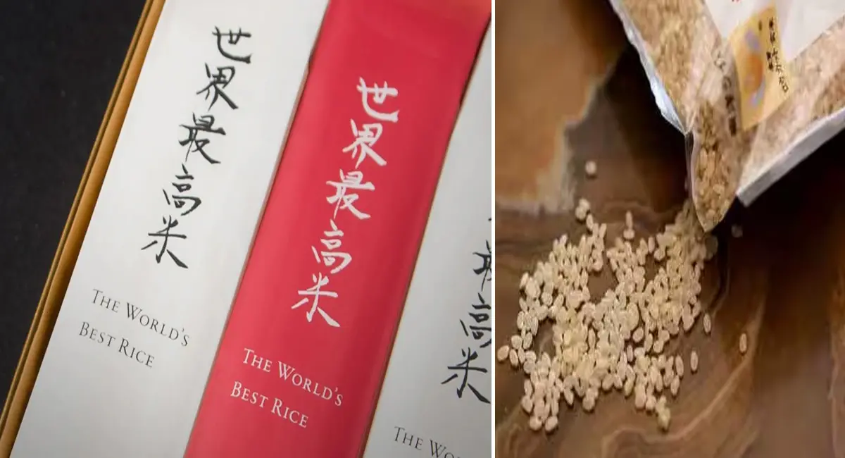 1 किलो की कीमत उड़ा देगी होश, 5 किस्मों का मिलता है मिश्रण