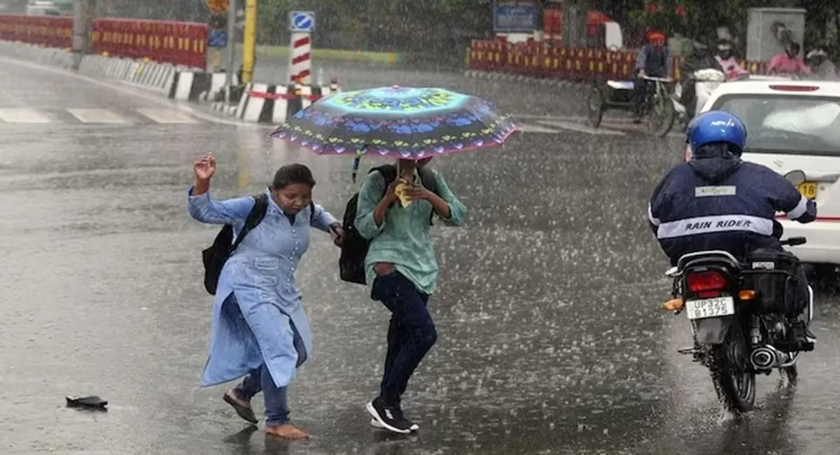 /img/95/1774247276951