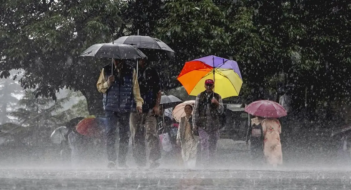 /img/95/1774247381720