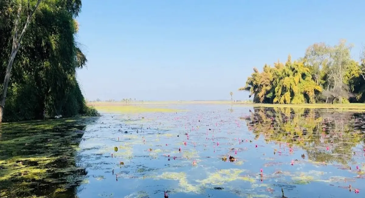 तालाब और चैनल के अतिक्रमण का निगम करवाएगा सर्वे, निगम आयुक्त सभी झोन अधिकारियों को दिए निर्देश
