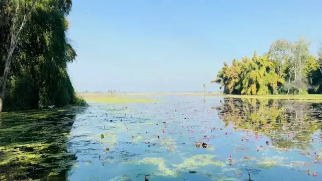 तालाब और चैनल के अतिक्रमण का निगम करवाएगा सर्वे, निगम आयुक्त सभी झोन अधिकारियों को दिए निर्देश