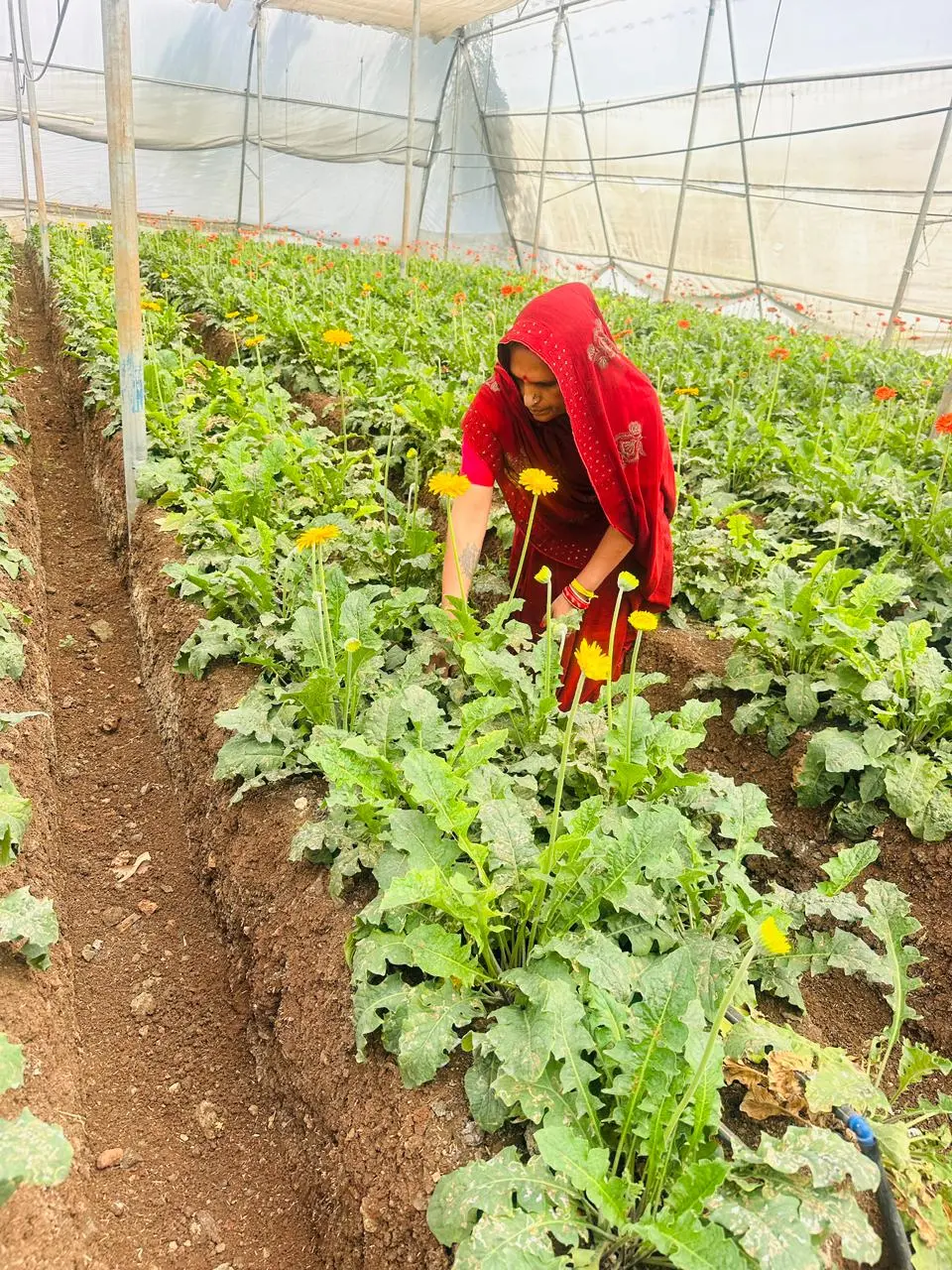 /img/95/1776523532982