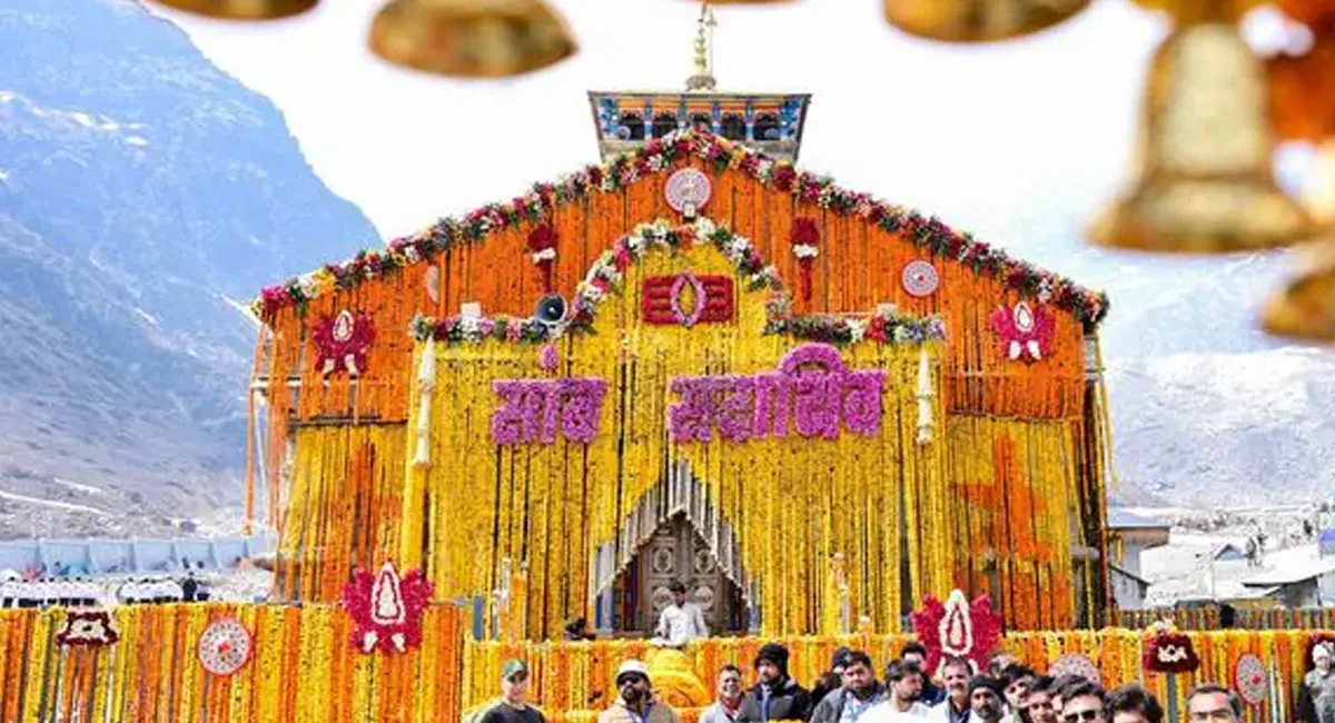 /img/95/1776922232217