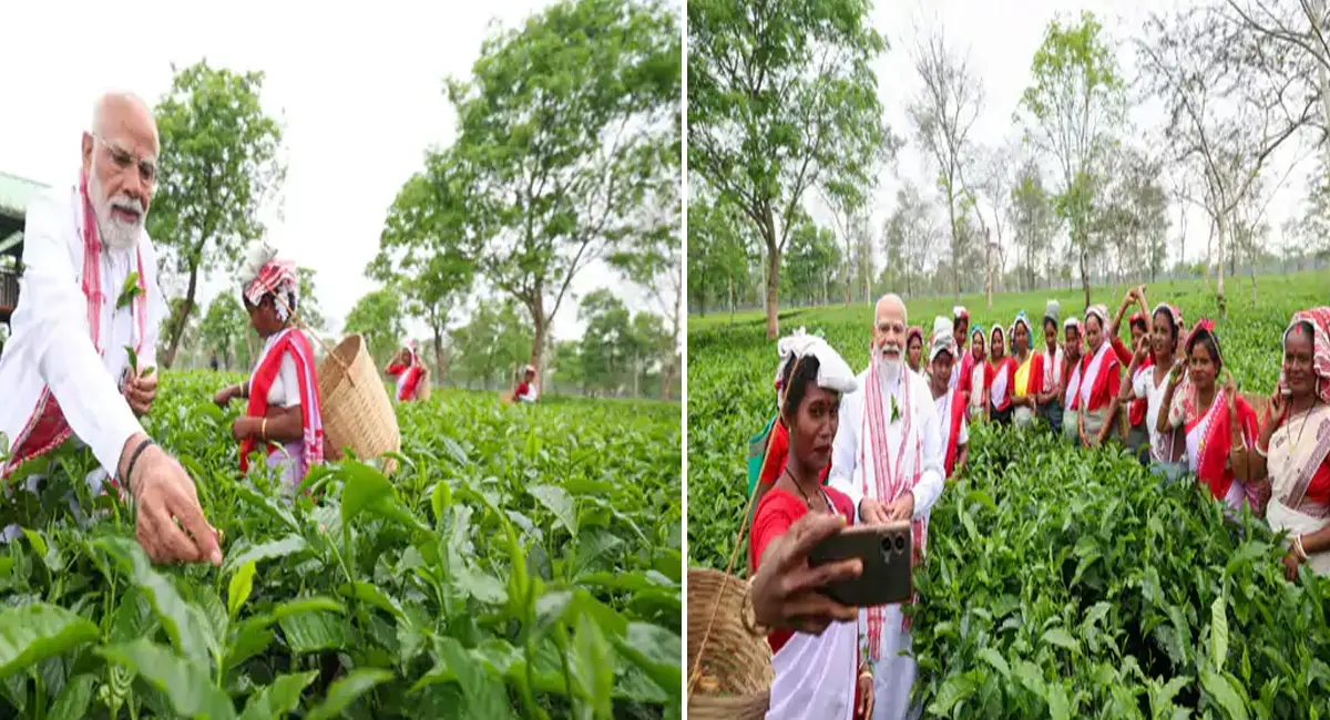 /img/95/1777524586242