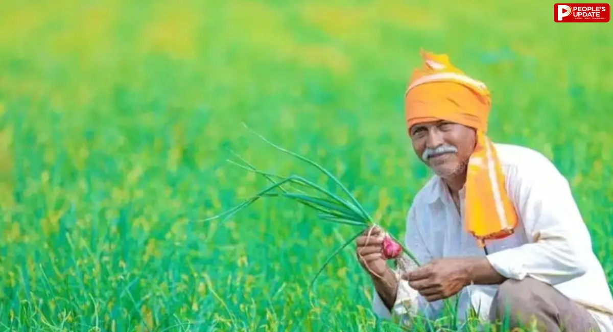 इन फसलों का हुआ बुरा हाल, चाय बगान भी चपेट में