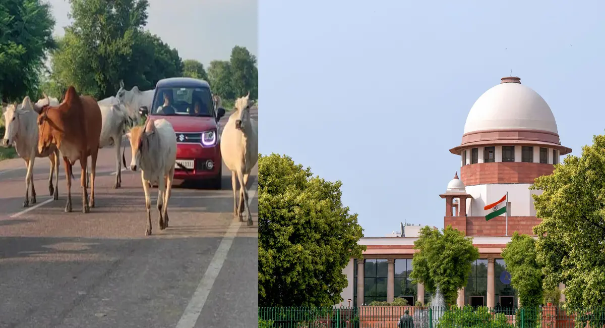 केंद्र समेत राज्य सरकार को जारी किए निर्देश