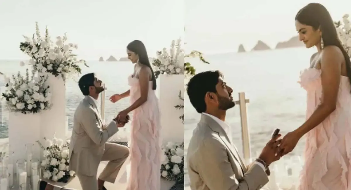 उदयपुर में लगा इंटरनेशनल स्टार्स का मेला, बॉलीवुड-हॉलीवुड सितारों ने किया धमाकेदार परफॉर्म