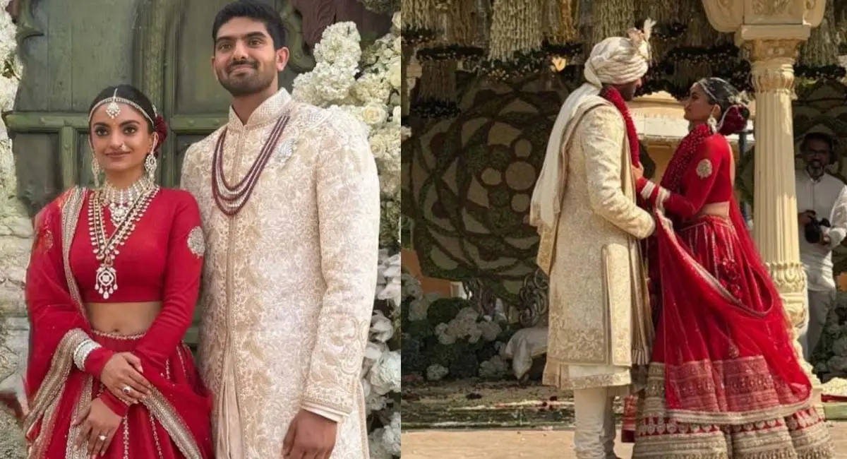 उदयपुर शाही शादी में बॉलीवुड और हॉलीवुड स्टार्स ने किया धमाल, स्टार्स की फीस जानकर रह जाएंगे दंग