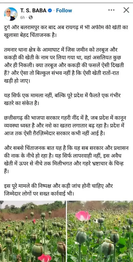 /img/99/1774098927539