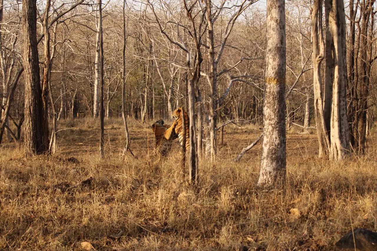 /img/99/1775477934640