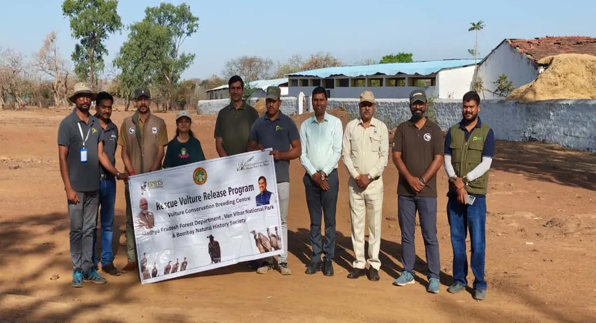 /img/99/1776062301064