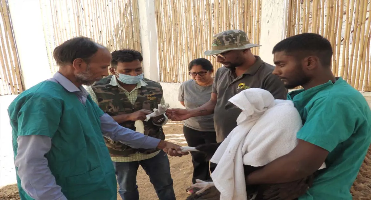 /img/99/1776062316381