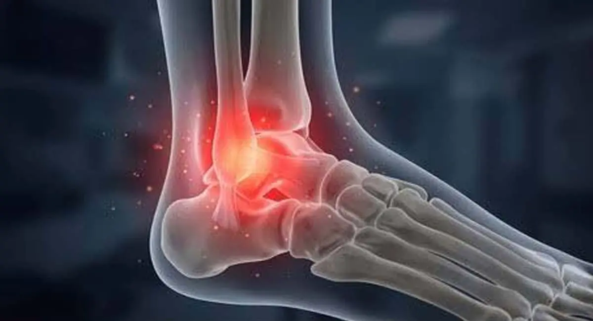 /img/99/1776072563854