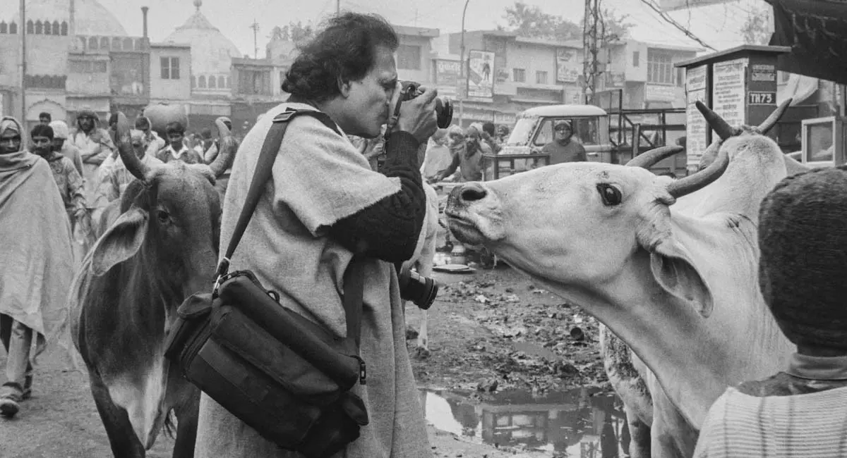 /img/99/1777196345131