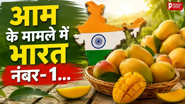 भारत उगाता है दुनिया के 43% आम, फिर भी निर्यात सिर्फ 0.13%! आखिर कहां हो रही चूक?