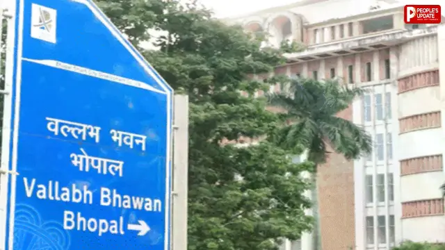 मध्य प्रदेश के पटवारियों को बड़ा तोहफा! 1050 पटवारियों के प्रमोशन की तैयारी, जानिए कौन-कौन होगा पात्र